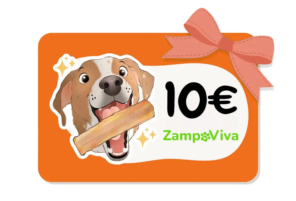 Buono Sconto 10€ per il prossimo ordine