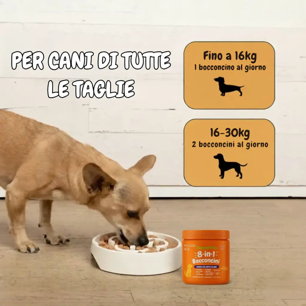 ArtiCare - Supporto Articolare Naturale