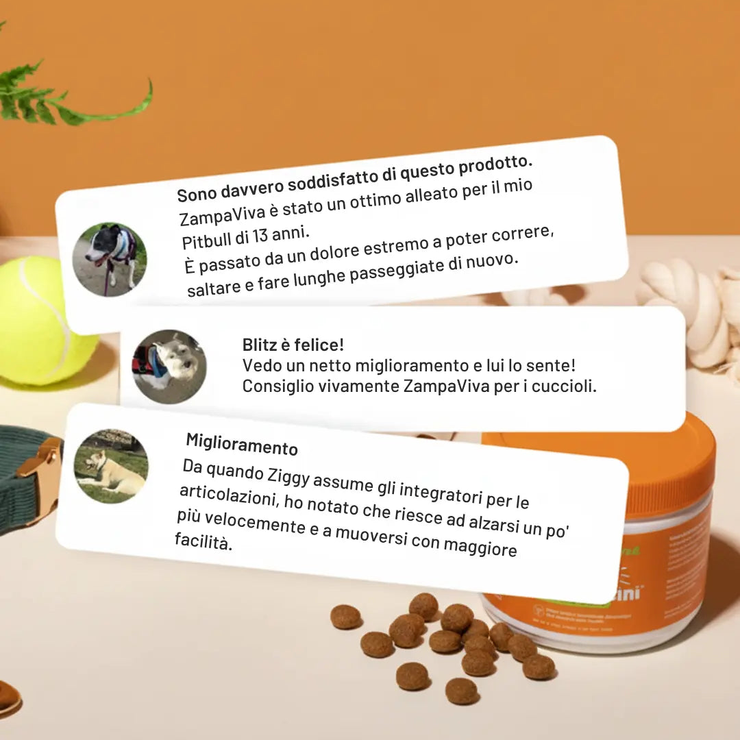 ArtiCare - Supporto Articolare Naturale