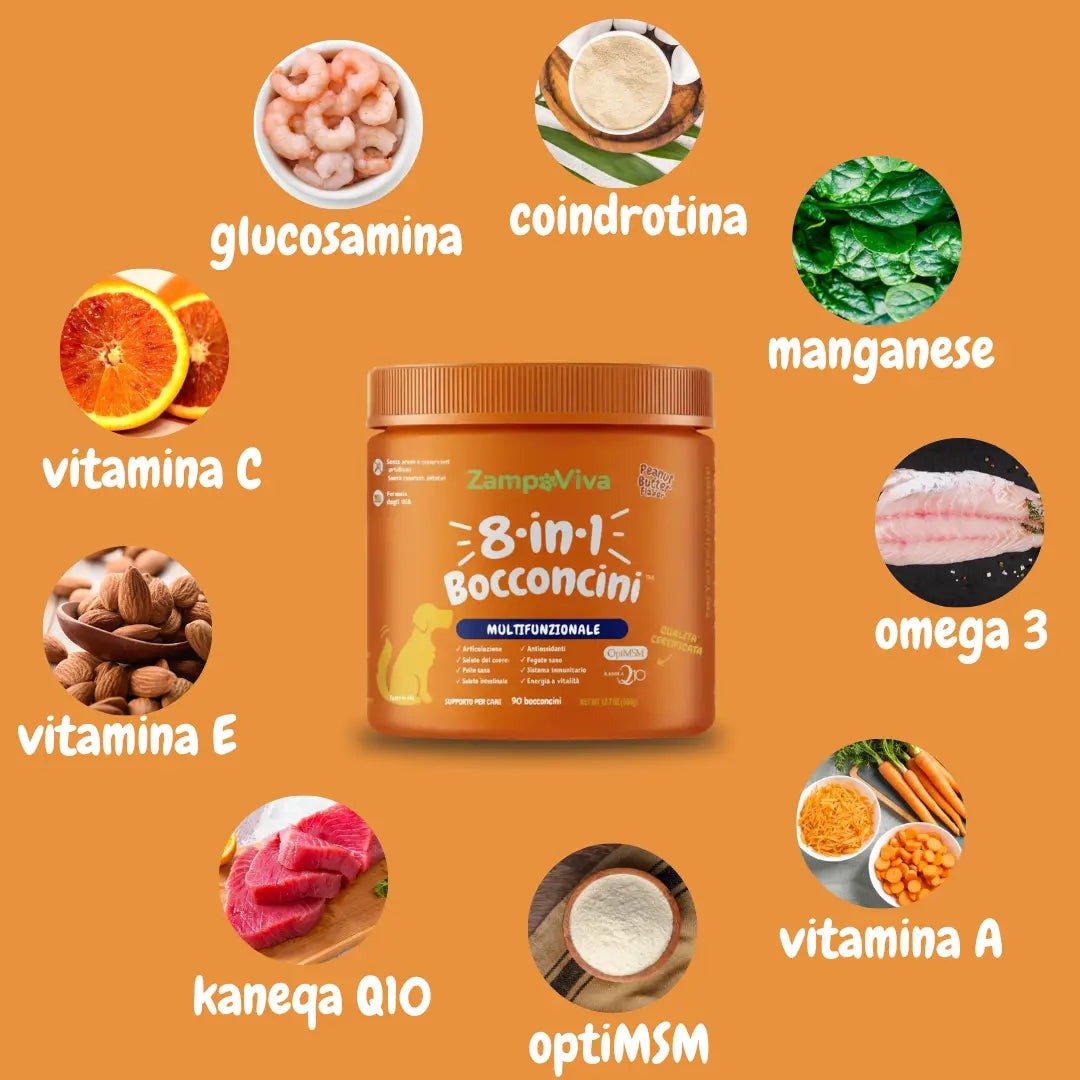 ArtiCare - Supporto Articolare Naturale