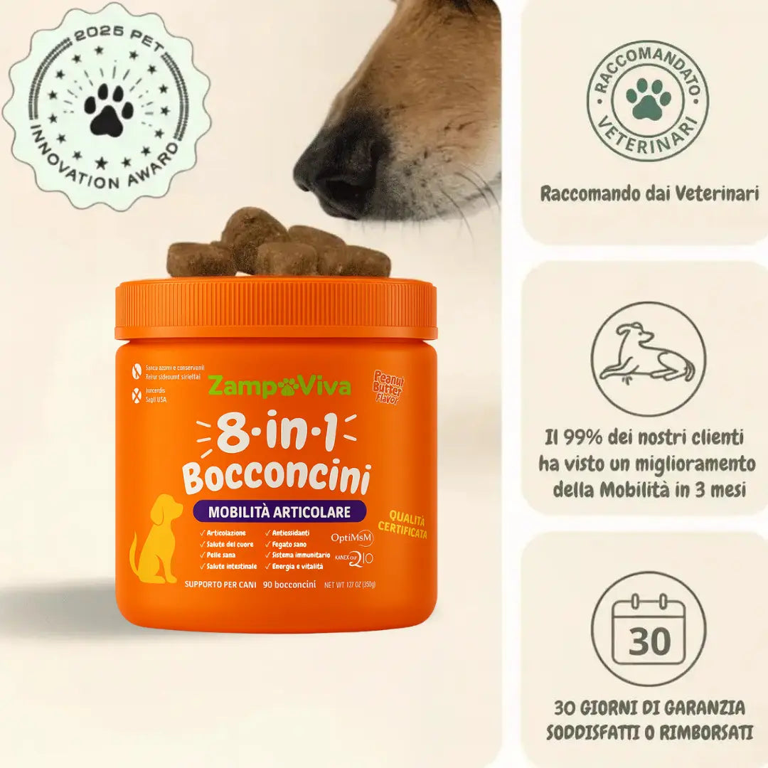 ArtiCare - Supporto Articolare Naturale